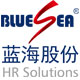 蓝海股份