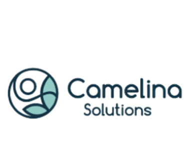 Refined Camelina Oil 梵荠润